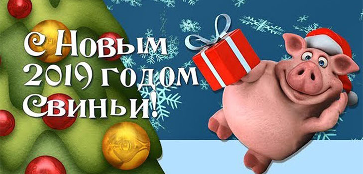 с Новым 2019 годом