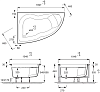 Акриловая ванна Jacob Delafon Micromega Duo E60221RU-00 170x100 L