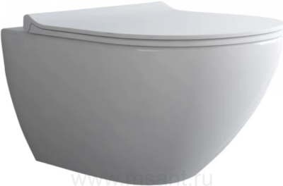 Унитаз подвесной Berges Puma Rimless 082131 с микролифтом