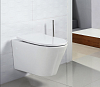 Крышка-сиденье BelBagno BB2031SC с микролифтом, петли хром