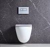 Чаша для унитаза подвесного BelBagno Amanda BB051CHR