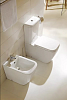 Унитаз-компакт BelBagno Alpina BB10100CP