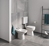 Чаша для унитаза приставного Grohe Bau Ceramic 39430000