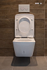 Унитаз подвесной Toto SP CW532RY#XW с микролифтом