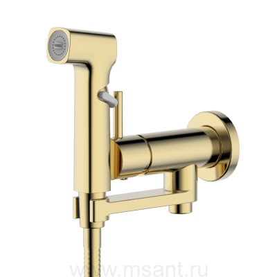 Комплект Aquatek AQ1819BG НИКА для гигиенического душа встроенный (смеситель + гигиеническая лейка + шланг), шлиф.золото
