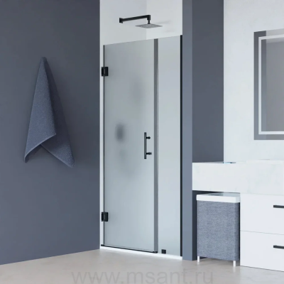 Душевая дверь в нишу RGW Hotel HO-012-B 900х1950 профиль черный, стекло матовое