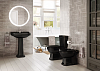 Унитаз-компакт Roca Carmen 3420A7560 черный