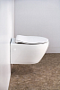 Крышка-сиденье BelBagno Prospero BB2020SC с микролифтом, петли хром