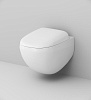 Унитаз подвесной AM.PM Sensation C301700WH безободковый с быстросъемным сиденьем микролифт