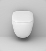 Унитаз подвесной AM.PM Sensation C301700WH безободковый с быстросъемным сиденьем микролифт