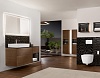 Унитаз подвесной Villeroy & Boch Viclean V0E100R1 альпийский белый, с функцией биде