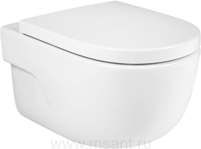Унитаз подвесной Roca Meridian 34624L000 безободковый