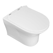 Унитаз подвесной AZARIO FRETTA ROUND 485x360x365 безободковый с сиденьем микролифт