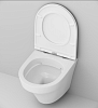 Комплект унитаз с инсталляцией AM.PM Inspire IS49051.501700 с сиденьем микролифт