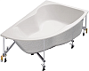 Акриловая ванна Jacob Delafon Micromega Duo E60220RU-00 170x100 R