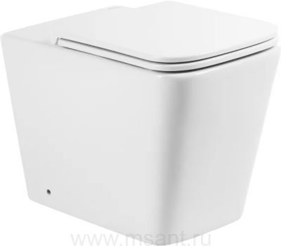 Унитаз приставной BelBagno Ardente-R BB003CBR