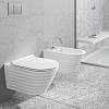 Унитаз подвесной Catalano Classy 55 1VS55RZEBA безободковый