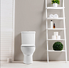 Унитаз-компакт BelBagno Ricco BB275CPR