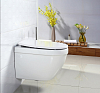 Крышка-сиденье BelBagno BB2031SC с микролифтом, петли хром