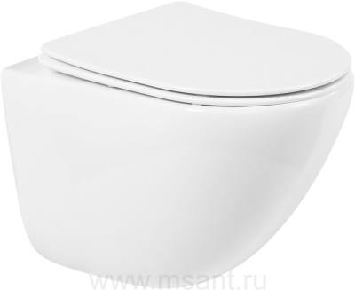 Чаша для унитаза подвесного BelBagno Amanda BB051CHR