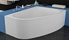 Акриловая ванна Kolpa San Chad 5012-01 170x120 L на каркас