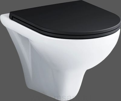 Унитаз подвесной AM.PM Gem FlashClean C901700SCmb безободковый, с микролифтом, крышка черная