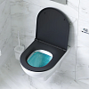 Унитаз подвесной AM.PM Gem FlashClean C901700SCmb безободковый, с микролифтом, крышка черная