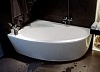 Акриловая ванна Акватек Фиджи 170х110 L