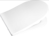 Крышка-сиденье BelBagno BB2031SC с микролифтом, петли хром