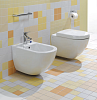Унитаз подвесной Villeroy & Boch Subway Plus 6600 10R1 alpin