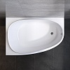 Акриловая ванна AM.PM Like 170x110 L W80A-170L110W-A