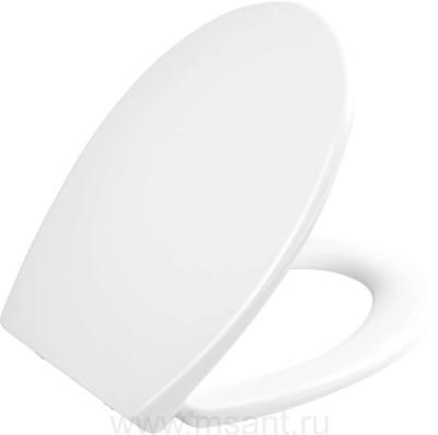 Крышка-сиденье BelBagno BB2004SC