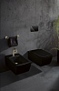 Унитаз подвесной Villeroy & Boch Collaro ebony, ceramicplus