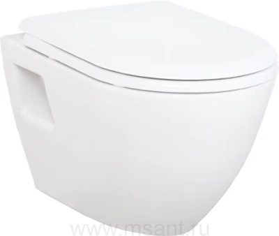 Унитаз подвесной Creavit BENE TP325-00CB00E-0000 с биде, белый