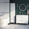 Тумба с умывальником, напольная, 100 см, белая, Oxford, IDDIS, OXF10W1i95K