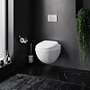 Унитаз подвесной AM.PM Sensation C301700WH безободковый с быстросъемным сиденьем микролифт