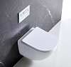 Чаша для унитаза подвесного BelBagno Amanda BB051CHR
