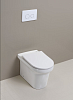 Крышка-сиденье BelBagno BB2031SC с микролифтом, петли хром