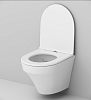 Комплект унитаз с инсталляцией AM.PM Inspire IS49051.501700 с сиденьем микролифт