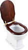 Крышка-сиденье BelBagno Boheme BB115SCW-ORO с микролифтом, петли золото