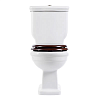 Унитаз-компакт BelBagno Boheme BB115CPR