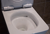 Унитаз подвесной Toto SP CW532RY#XW с микролифтом