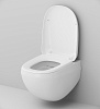 Унитаз подвесной AM.PM Sensation C301700WH безободковый с быстросъемным сиденьем микролифт
