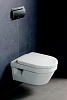 Унитаз подвесной Villeroy & Boch Omnia Architectura 5684HRR1 alpin, безободковый