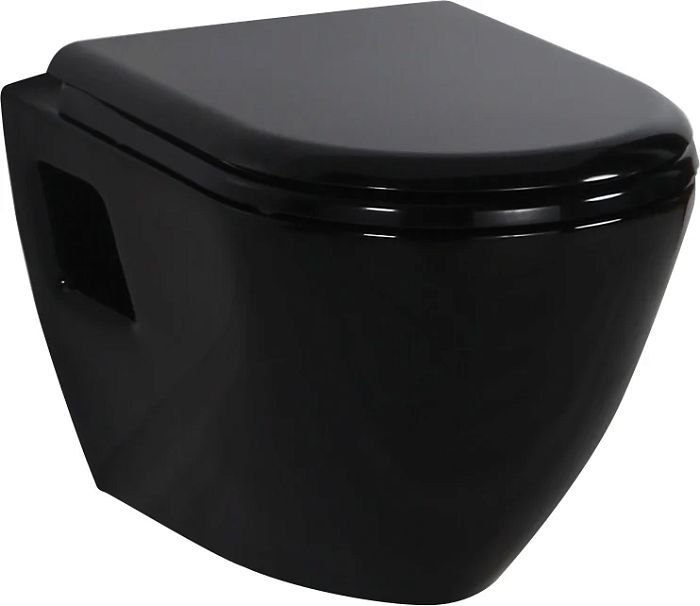 Унитаз подвесной Creavit Terra FE320-00SM00E-0000 с биде, черный