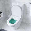 Унитаз-компакт AM.PM Inspire, C508607WH с быстросъемным сиденьем микролифт 17973