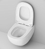 Унитаз подвесной AM.PM Sensation C301700WH безободковый с быстросъемным сиденьем микролифт
