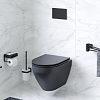 Унитаз подвесной AM.PM Spirit V2.0 FlashClean с микролифтом, черный матовый