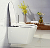Крышка-сиденье BelBagno BB2031SC с микролифтом, петли хром