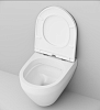 Комплект унитаз с инсталляцией AM.PM Spirit V2.0 IS48051.701700 с сиденьем микролифт